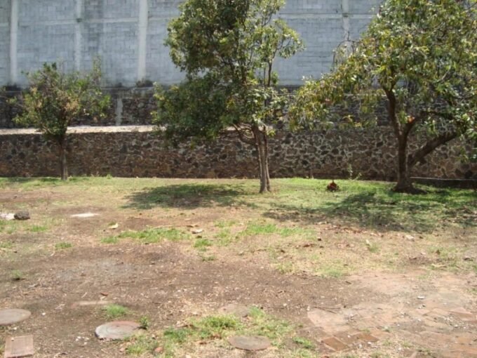 Terreno plano con árboles y barda de piedra — terreno en venta en Chamilpa, Cuernavaca