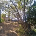 Foto 1 — terreno en venta en Cuernavaca (Fraccionamiento Junto al Río, Cuernavaca)