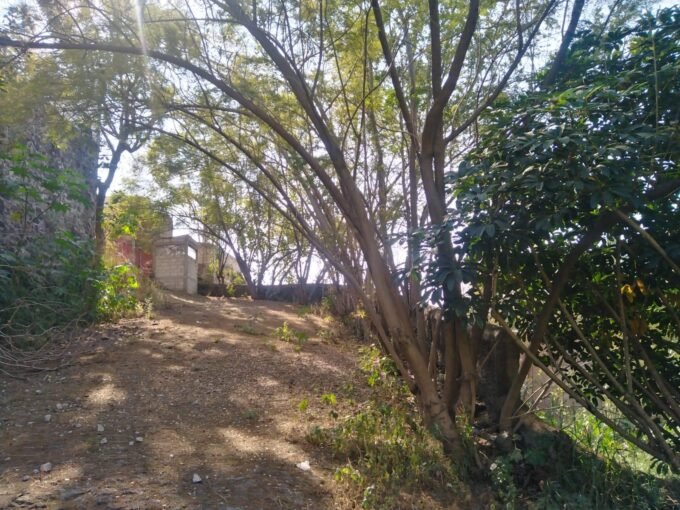 Foto 1 — terreno en venta en Cuernavaca (Fraccionamiento Junto al Río, Cuernavaca)
