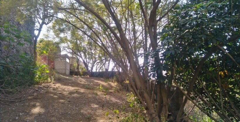 Foto 1 — terreno en venta en Cuernavaca (Fraccionamiento Junto al Río, Cuernavaca)