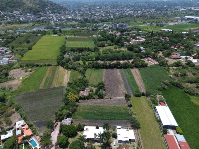 Foto 1 — terreno en venta en Temixco (Granjas Mérida, Temixco)