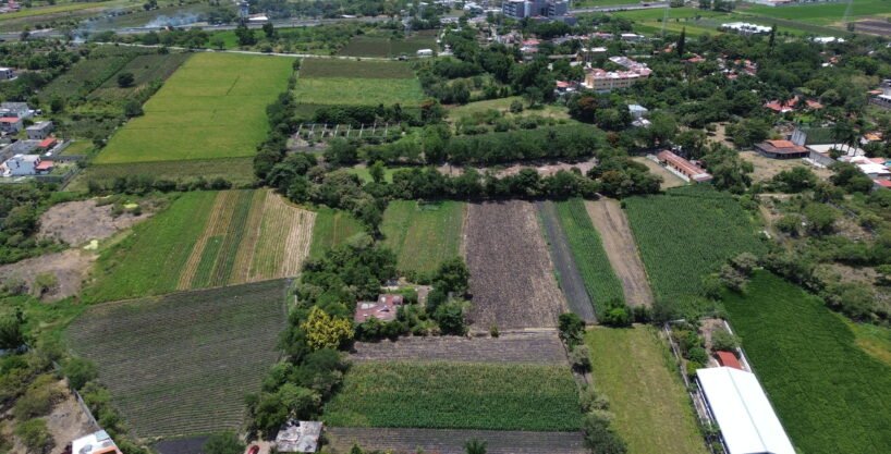 Foto 1 — terreno en venta en Temixco (Granjas Mérida, Temixco)