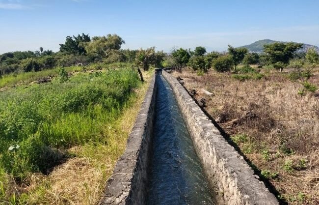Foto 1 — terreno en venta en temixco (Miguel Hidalgo, Temixco)