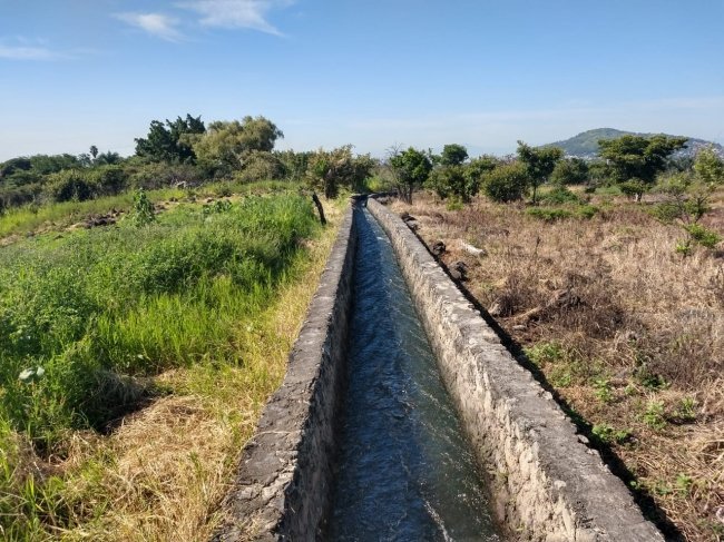 Foto 1 — terreno en venta en temixco (Miguel Hidalgo, Temixco)